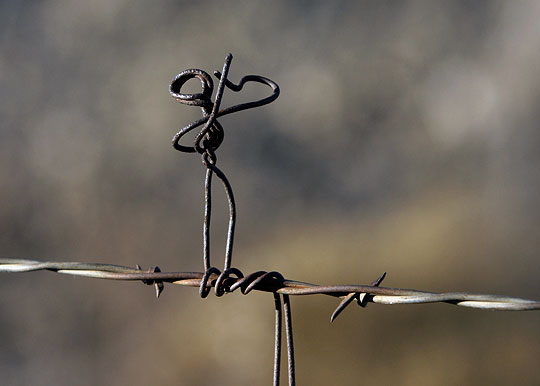 Fiddler on the fence Taos, New Mexico