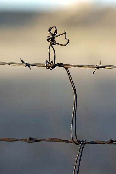 Fiddler on the Fence #4