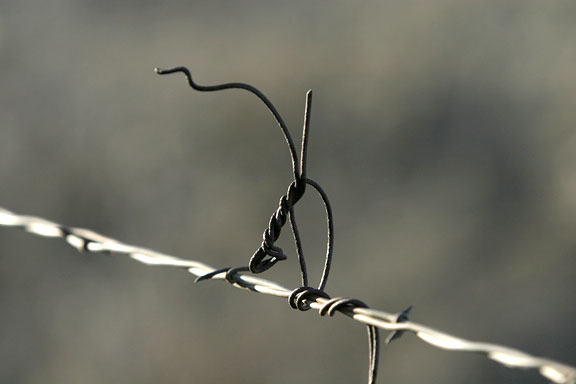 Fence gymnastics #2