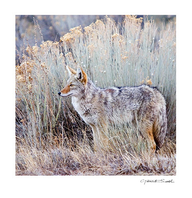 Photography in Ranchos de Taos