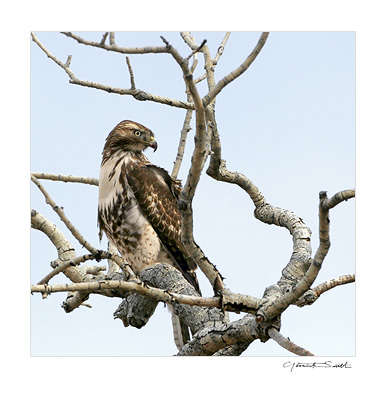 Photography in Ranchos de Taos