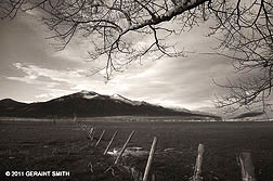 2011 April 07  Taos Mountain meadow