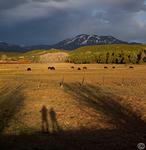 2013 April 17  Arroyo Hondo Valley shadows