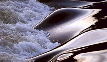 A wave on the Rio Grande in Pilar, NM