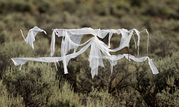 2014 August 12  Fence ghosts ... guardians of Taos County