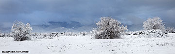 2007 December 12, A pastoral winter scene in Taos yesterday