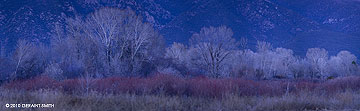 2010 December 29, Twilight in Taos