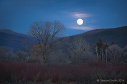 2014 December 06: Winter moon and winter colors