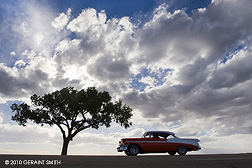 lone tree and chevy