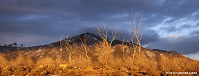 taos mountain light