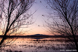 2011 February 18, Marshes at the Bosque del Apache, NM