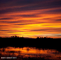 2011 February 17, Sunrise in the Bosque del Apache, NM