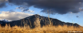 2011 March 13, Taos Mountain and bare trees