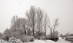 2012 February 22, Snowy scene this week in Taos