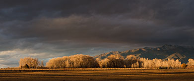 2014 February 21  Meadow, cottonwoods and mountains