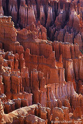 2007 February 01, "Hoodoo" formations in Bryce Canyon, Utah