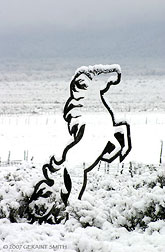 2007 January 30, See-through horse, Taos 