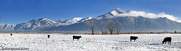 2008 January 15, Morning in the fields on the north side of Taos