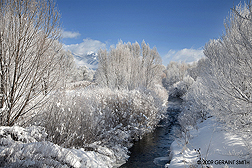2009 January 08: The Rio Pueblo with Taos Mountain, it's source in the distance