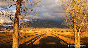 taos mountain light