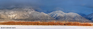 2011 January 02, Red willow evening! in Taos NM