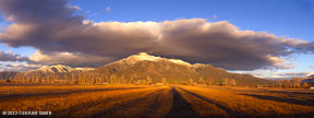 2012 January 24, Long shadows and Taos Mountain