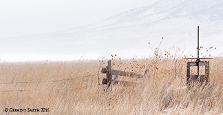 2016 January 14: Head gate and a ghost of a mountain ... continuing adventures on a road less traveled