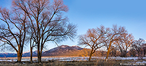 2016 January 24: Feels like spring as the days warm up and the snow recedes