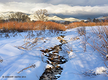 2016 January 10: After the storm comes the calm and the light ... oh the light! ... 