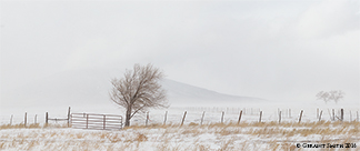 2016 January 22: Northern New Mexico winter snows