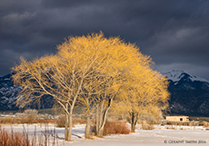 2016 January 17: Winter light on the Taos landscape