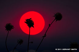 2011 June 11: Another smokey sunset