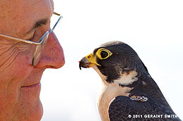 2011 June 02, My friend Tony Huston and his Peregrine falcon