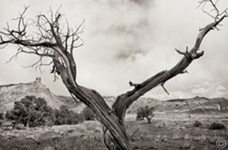 2013 June 21  Ghost Ranch, Abiquiu, New Mexico