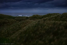 Twilight in the dunes, Bamburgh, Northumberland UK