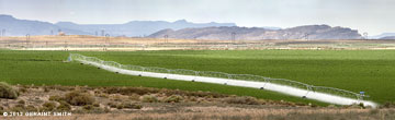 2012 May 15, Desert Irrigation