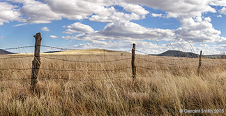 2015 May 03: Grasslands in eastern New Mexico