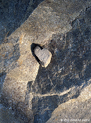 2010 November 25, Heart rock on the trail
