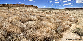 2011 November 19, Tumbleweed deposits, Arizona