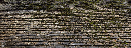 2013 November 09  Mossy roof in the English Cotswolds