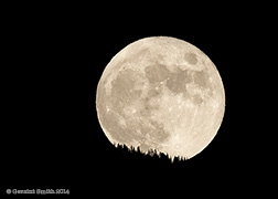 2014 November 07  Full moon rising over the Sangre de Cristo foothills,  from San Cristobal, NM