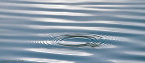 October 2006 Pond ripples