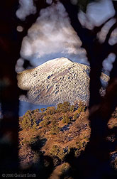 2006 October 24 Trees with a view. A window in the trees and a light dusting of snow on Taos mountain