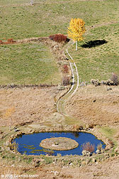 2008 October 18, Autumn pond in Valdez, New Mexico