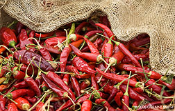 2008 October 05, Red hot chilis at the farmers market