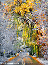 2011 October 29, Beautiful early snow fall in Taos