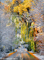 2011 October 29, Beautiful early snow fall in Taos