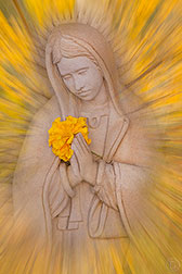 2012 October 12: Our Lady of Guadalupe ... and some aspens