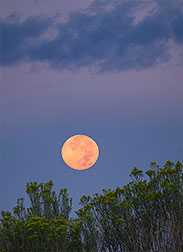 2011 September 01, "Chamisa Moon"