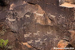 2014 September 21  Bighorn sheep and Deer petroglyphs in the  Rio Grande del Norte National Monument